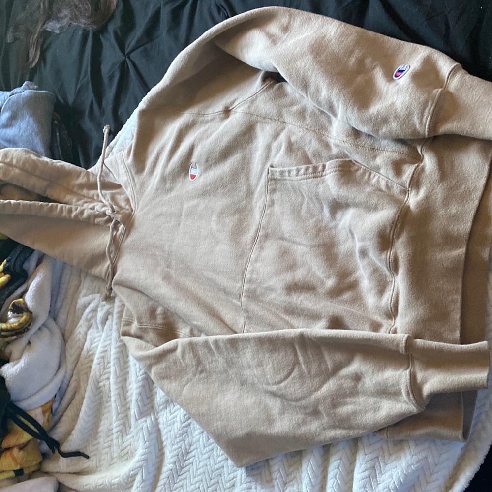Champion sweater